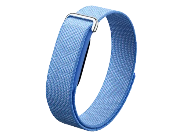 Google Fitbit Air Fitness Tracker Lavender — купить в Altyn Store